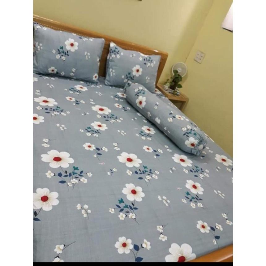 Bộ Drap Cotton THẮNG LỢI 4 món hoặc drap lẻ.