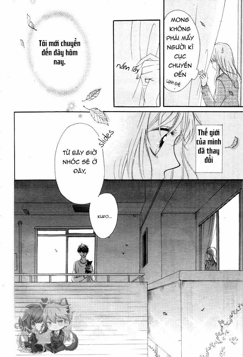 koi ni naranai wake ga nai chapter 1 41