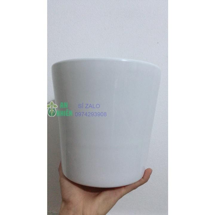 Chậu Sứ Trồng Cây