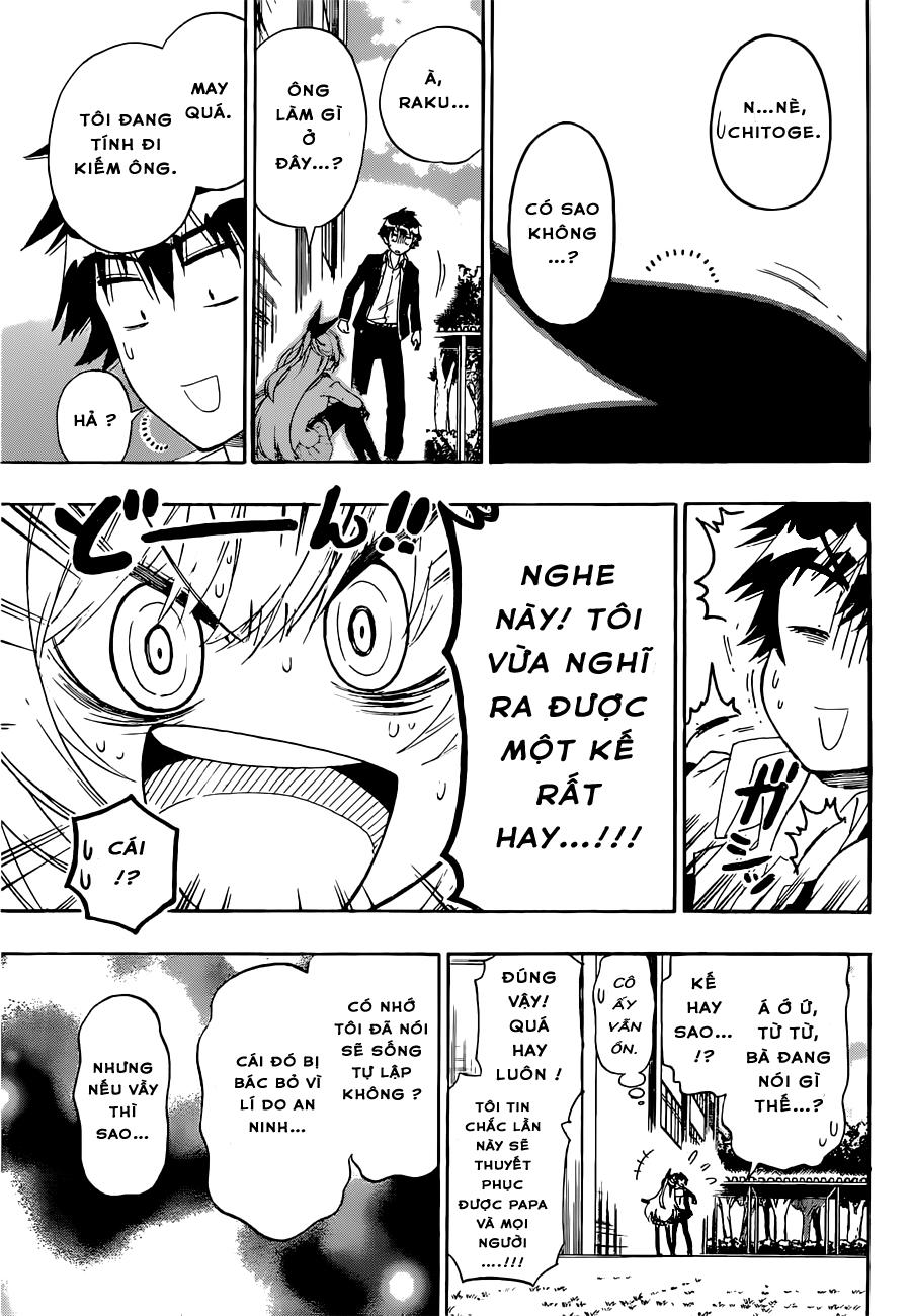 nisekoi - tình yêu giả tạo chapter 159 13