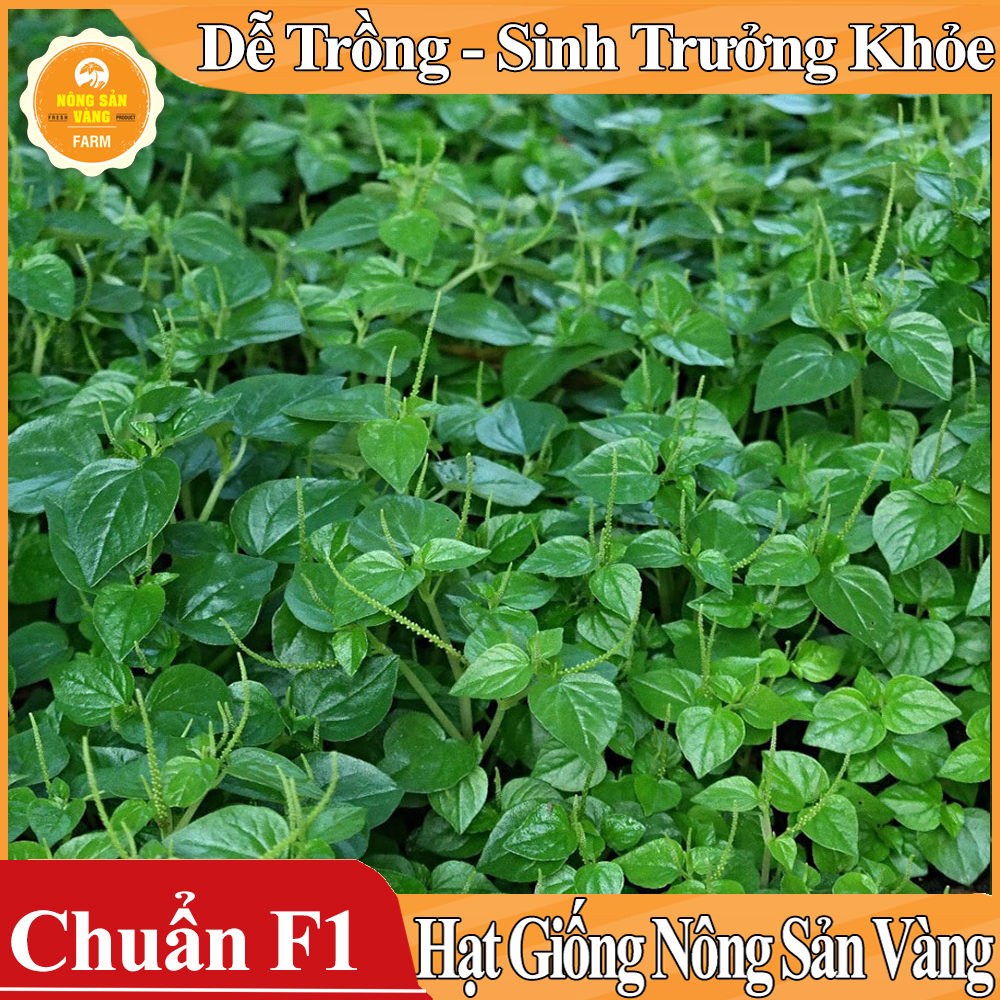 Hạt giống Rau Càng Cua ( Gói 0,5 Gram ) - Nông Sản Vàng