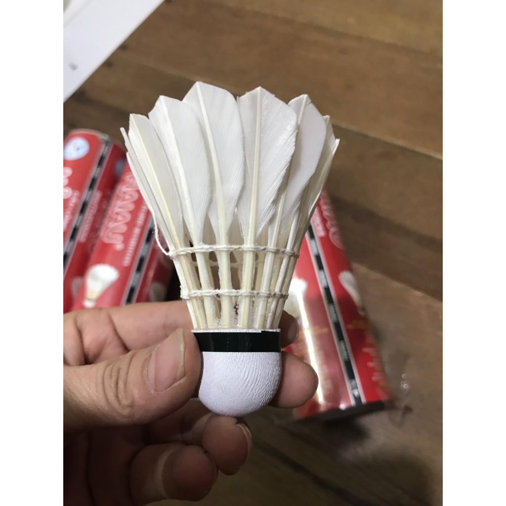 Hộp cầu lông Hải Âu_chính hãng loại hộp 6 quả và loại 12 quả