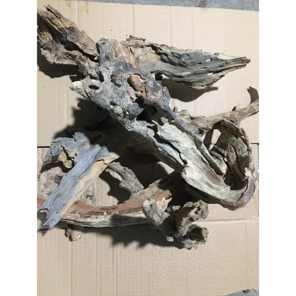 Gỗ lũa ghép lan hoặc thủy sinh 4kg