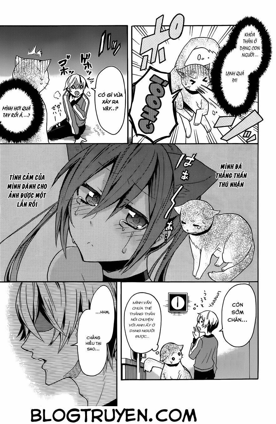 oniichan no koto ga suki sugite nyan nyan shitai burakon imouto dakedo sunao ni narenai no chapter 3 23