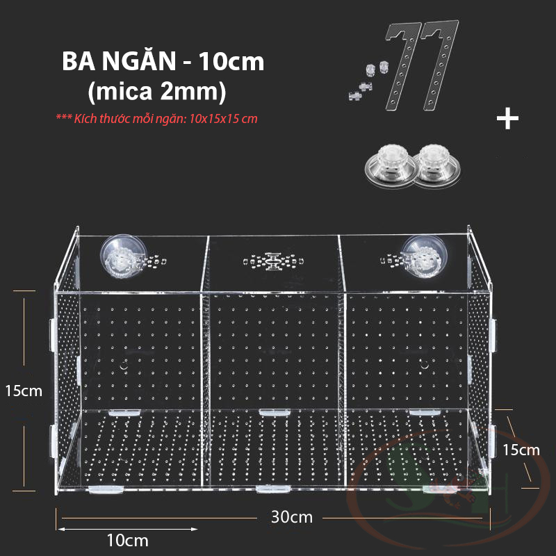 Box mica hít treo đa năng lồng tách dưỡng cây cá tép