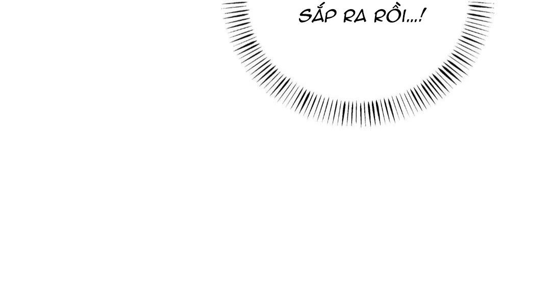 hạnh phúc trọn vẹn chapter 24 23