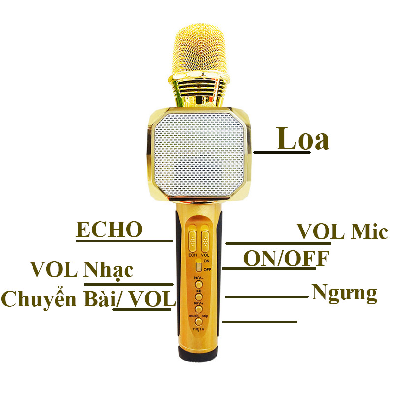 Micro karaoke Bluetooth  PF166 SD10  3 trong 1