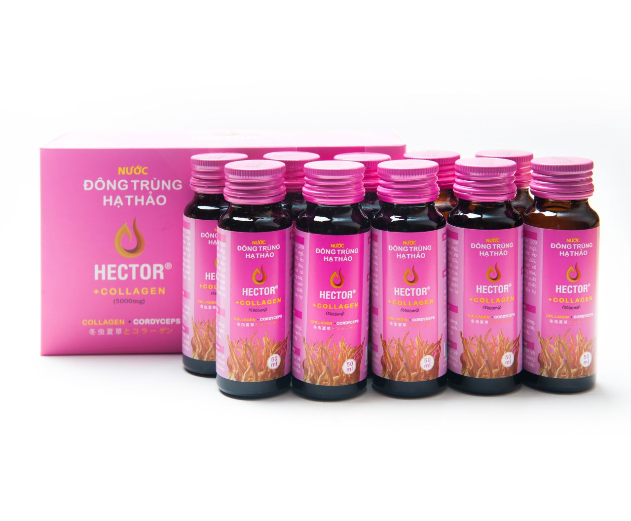 Nước Đông Trùng Hạ Thảo Hector Collagen (Hộp 10 Chai) - Hàng chính hãng