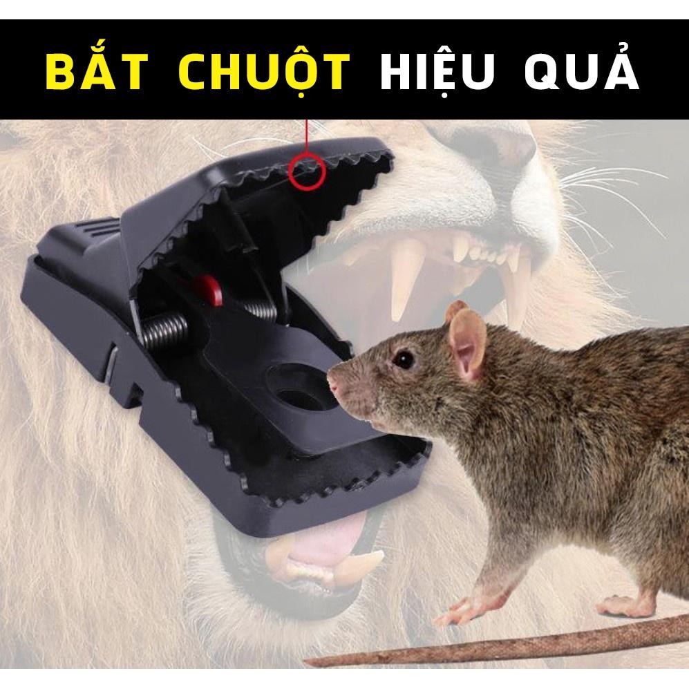 BẪY CHUỘTBẪY BẮT CHUỘT BẰNG NHỰA MÀU ĐEN THÔNG MINH TIỆN DỤNG