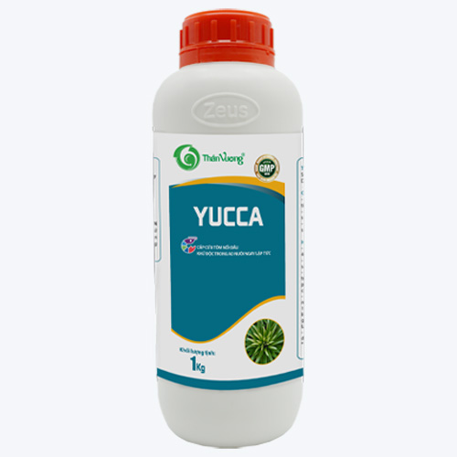 Hấp thụ khí độc ao tôm YUCCA