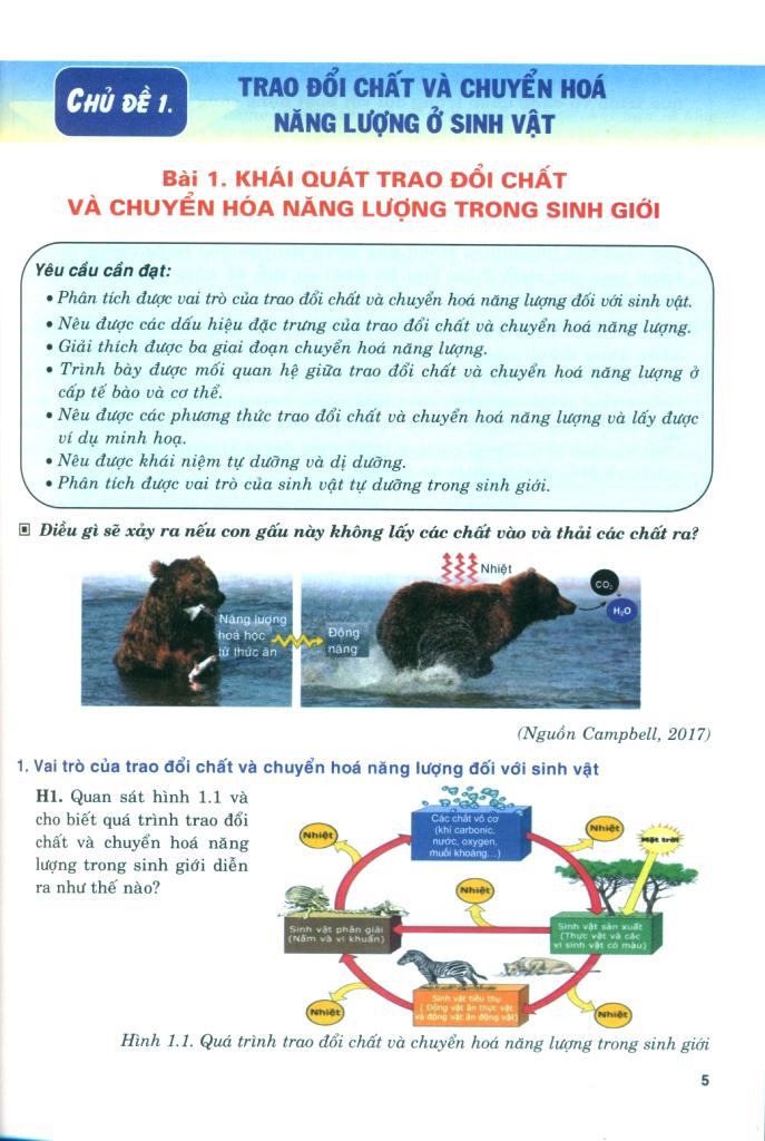 Bồi Dưỡng Năng Lực Tự Học Sinh Học 11