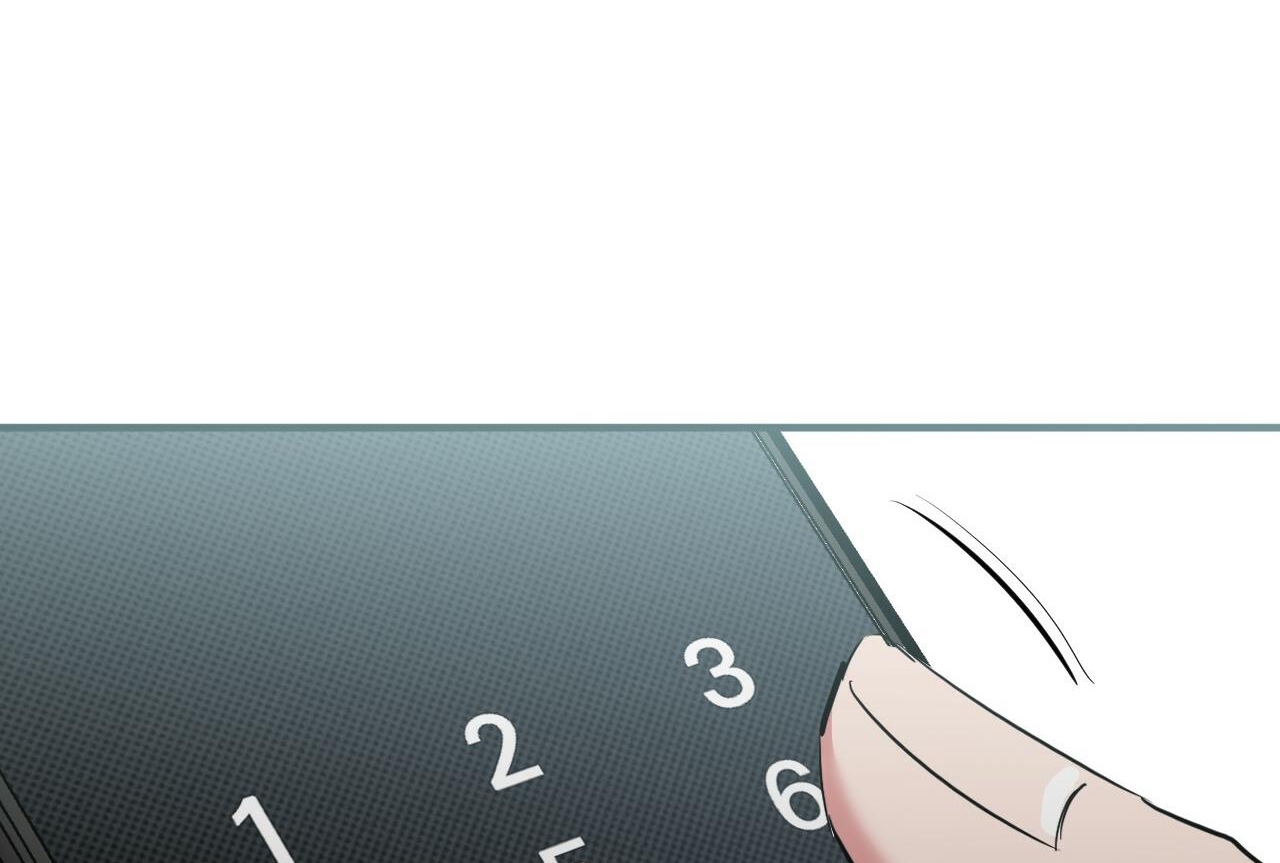 đàn thỏ của habibi chapter 35 282