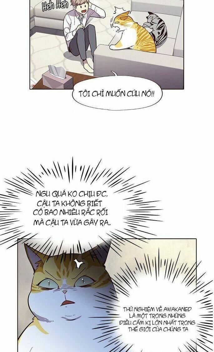 biến thân thành mèo chapter 6 12