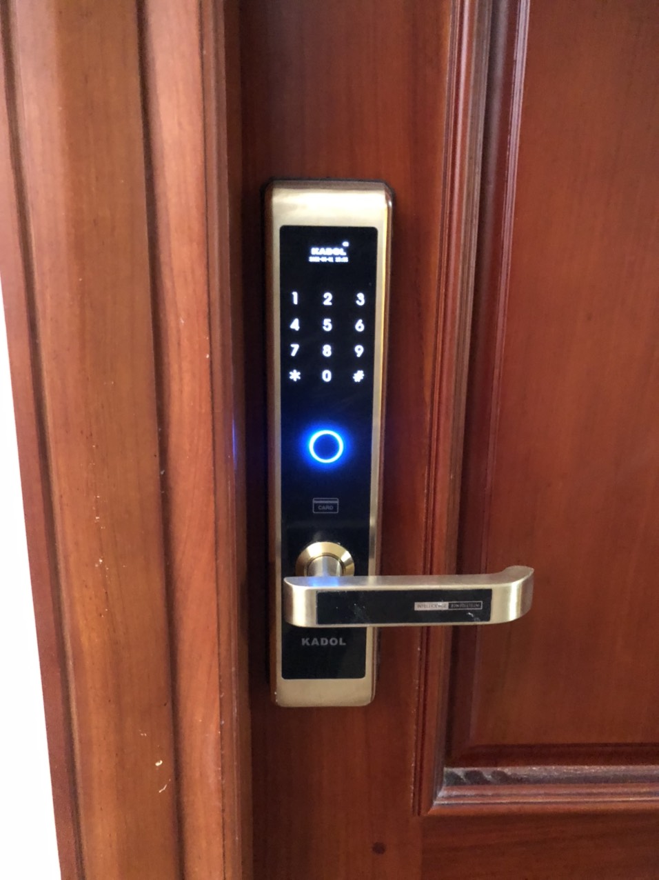 Khóa cửa vân tay Kadol FP39