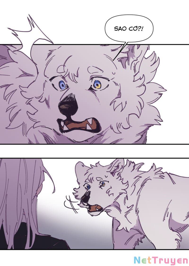 lumine - cội nguồn ánh sáng chapter 116 2