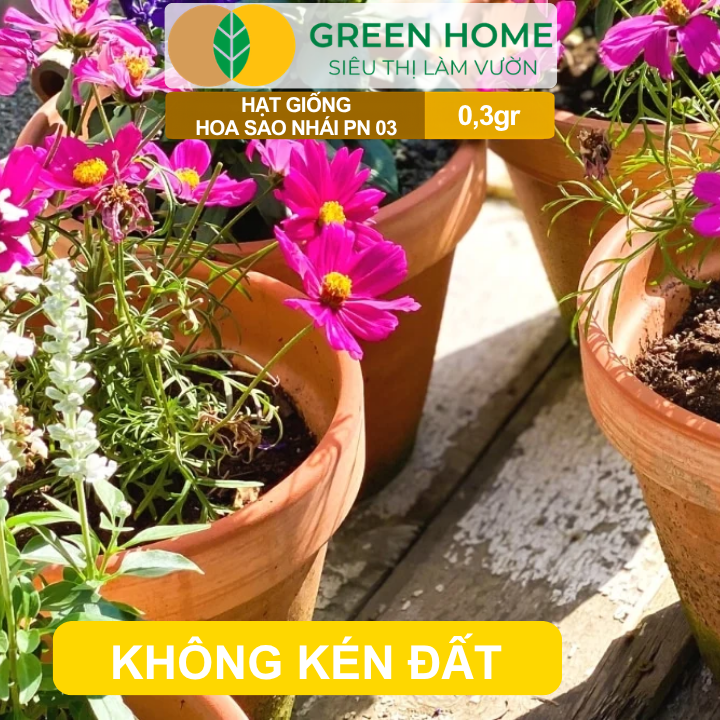 Hạt Giống Hoa Sao Nhái Mix GreenHome, Gói 0,3g, Sai Hoa, Màu Rực Rỡ, Dễ Trồng Quanh Năm H13