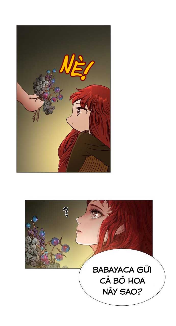 tôi chính là nhà sưu tập chim chapter 12 35