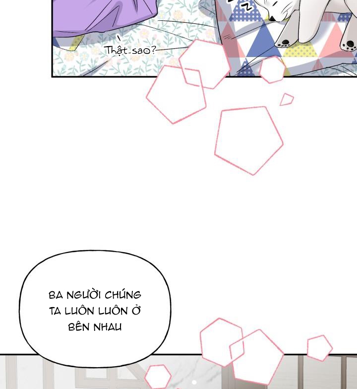 xác suất tình yêu chapter 66 51