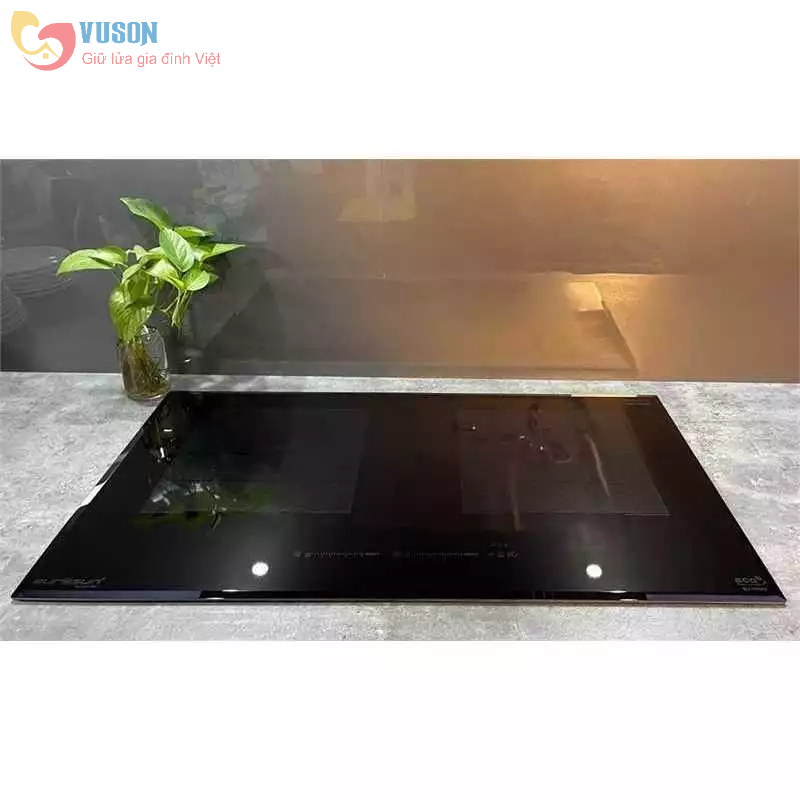 Bếp từ Eurosun EU-T999G - Hàng Chính Hãng