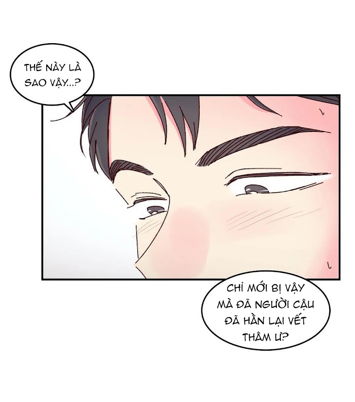 món tráng miệng của sếp tổng chapter 14 29