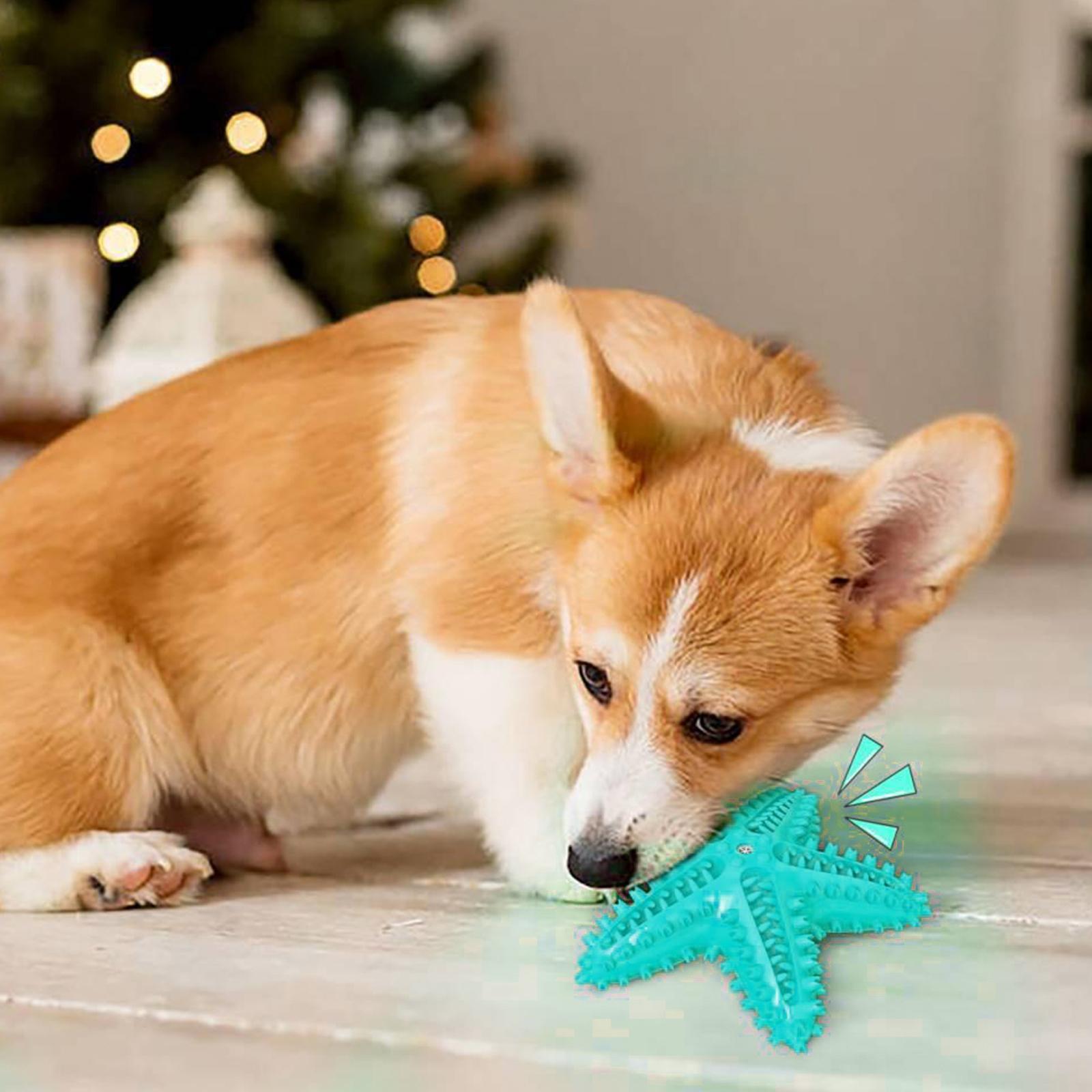 Dog Squeaky Chew Toy Bite Resistant Interactive Molar Cleaning