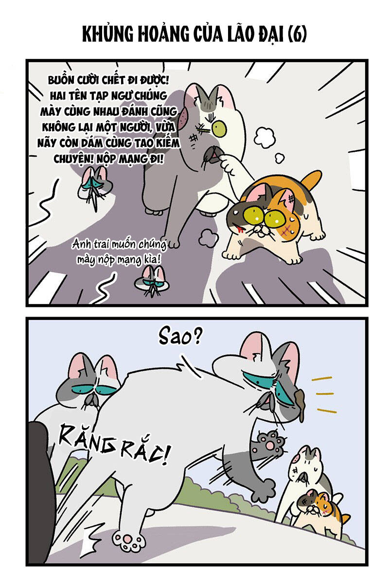 a mãn và mạch trà chapter 40.1 5