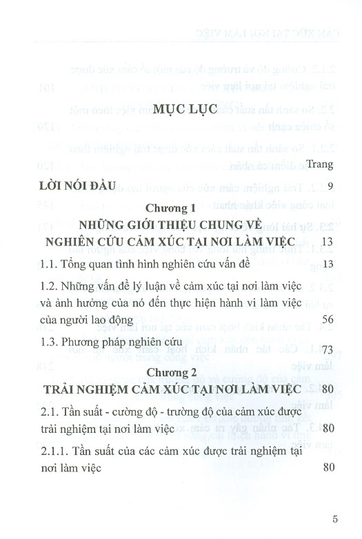 Cảm Xúc Tại Nơi Làm Việc (Sách Chuyên Khảo)