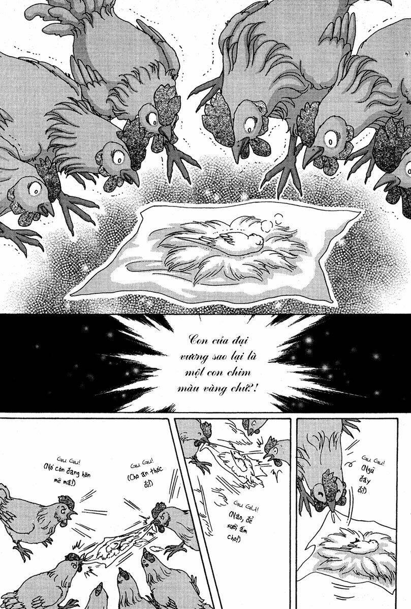 bird of youth chapter 6 10