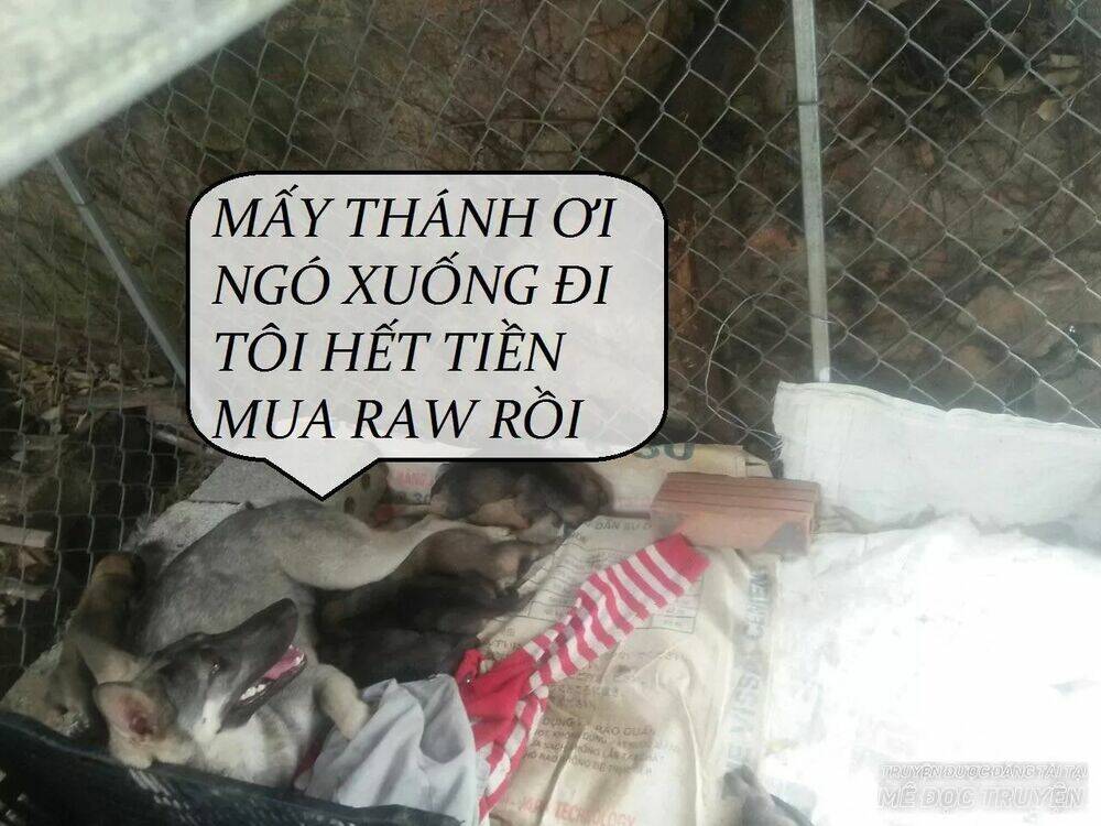 độc phi thần y quá kiêu ngạo chapter 69 46