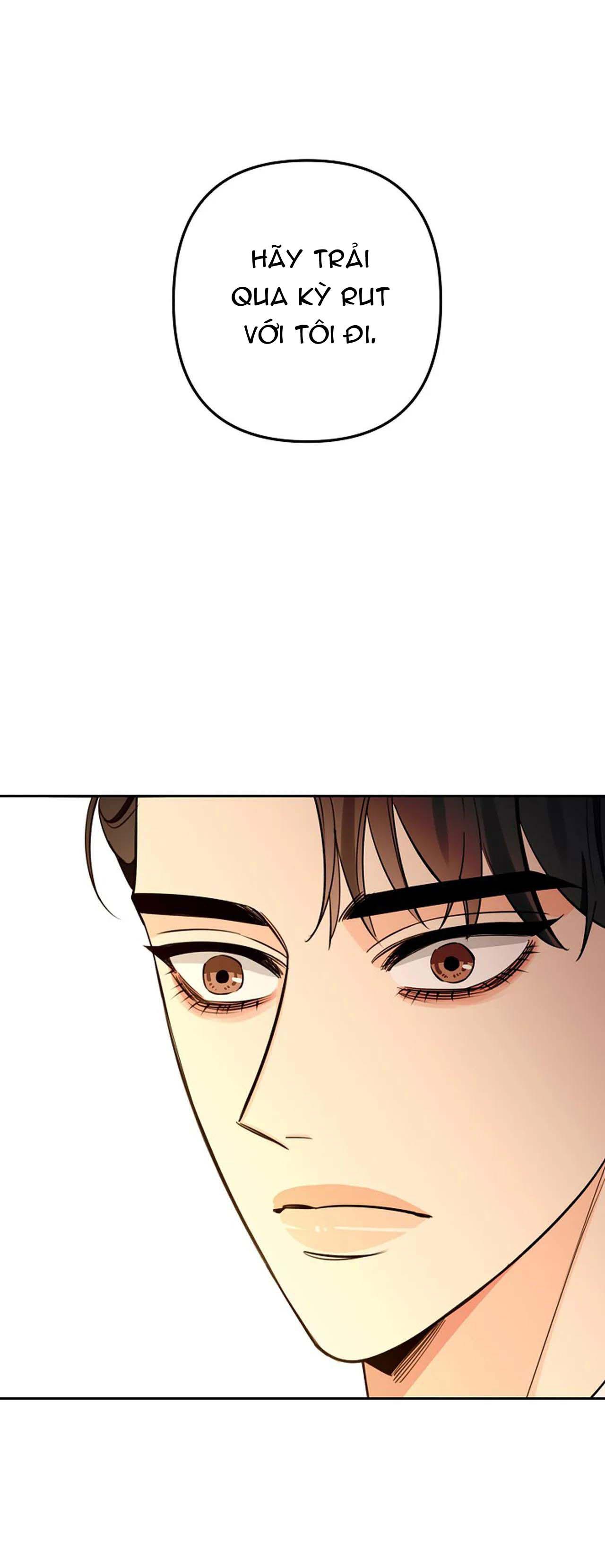 đêm dịu dàng chapter 46 1