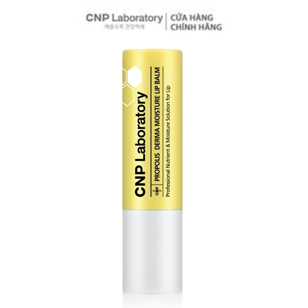 Son dưỡng mềm môi dưỡng ẩm keo ong CNP Laboratory Propolis Derma Moisture Lip Balm 4g