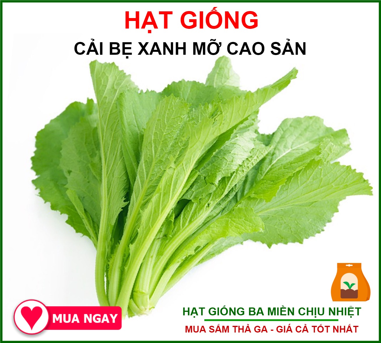 Hạt Giống Cải Bẹ Xanh Mỡ Rạng Đông Gói 20Gram