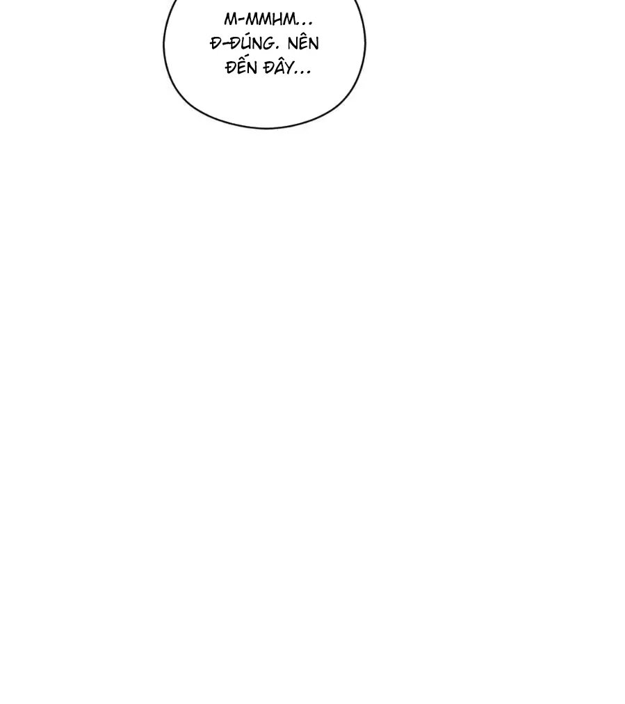 liveta chapter 13 12