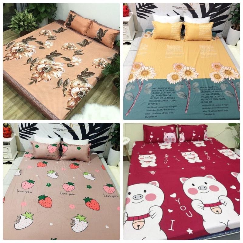 Bộ ga chun và 2 vỏ gối cotton poly mềm mịn được chọn mẫu