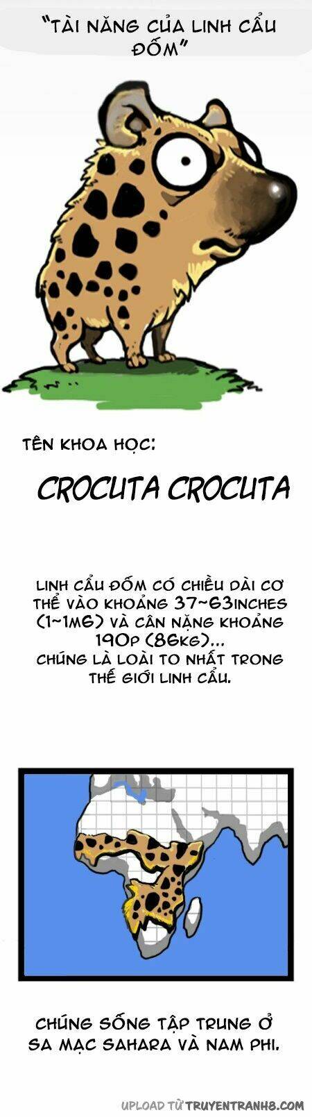 earth, human, and animal chapter 9 4