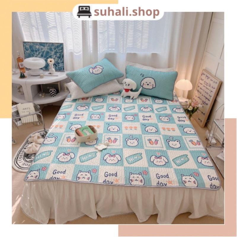 Chiều điều hòa, chiếu cao su non latex 5d hàng chuẩn loại 1 Suhali Shop