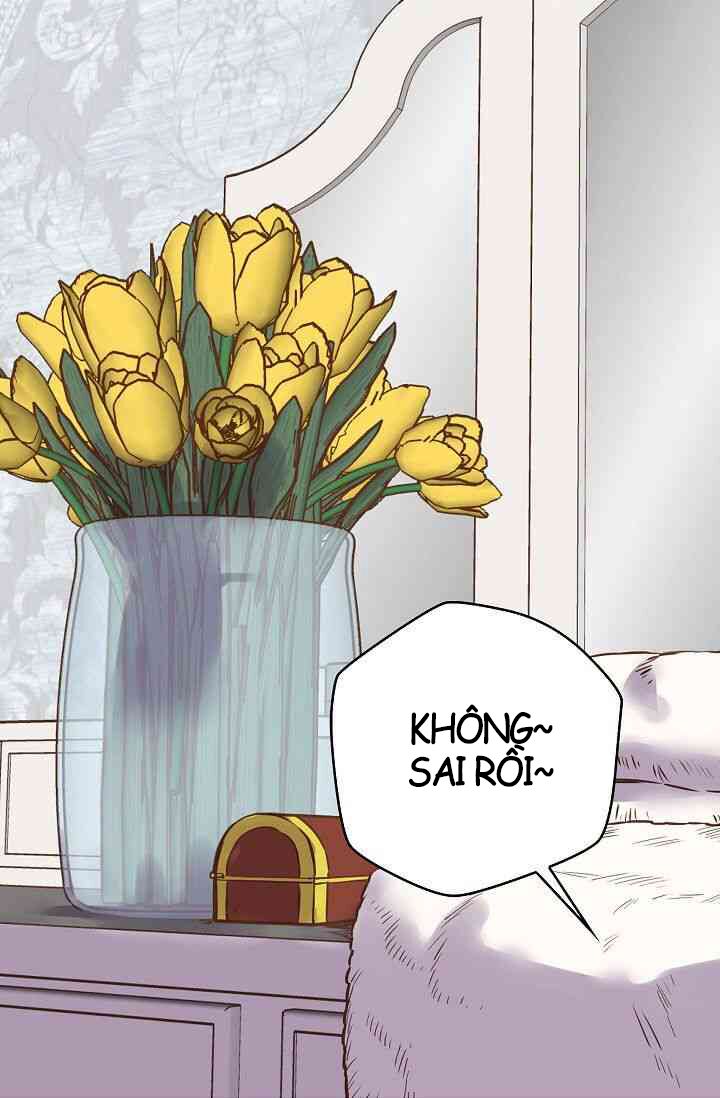 hôn lễ báo thù chapter 12 1