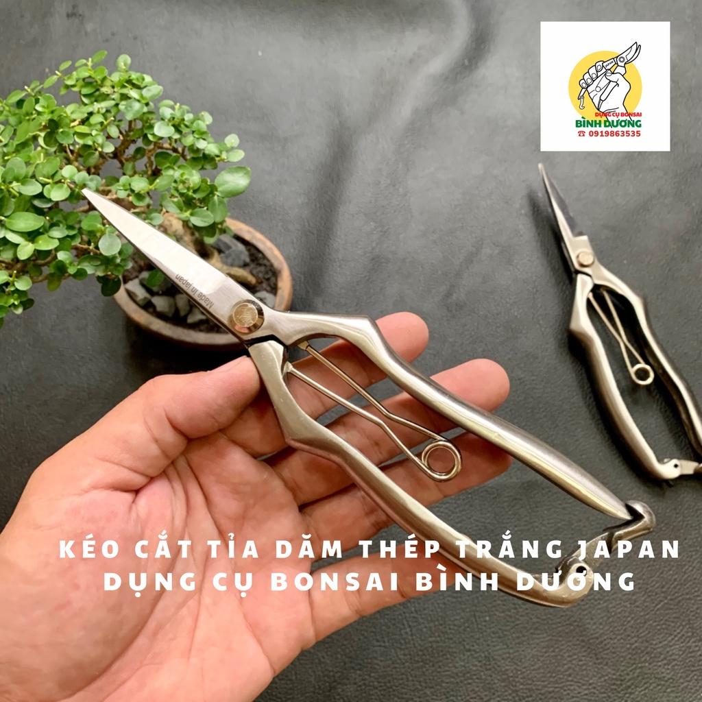 KÉO CẮT TỈA DĂM THÉP TRẮNG ĐÚC JAPAN - KÉO CẮT TỈA DĂM CÂY CẢNH BONSAI JAPAN