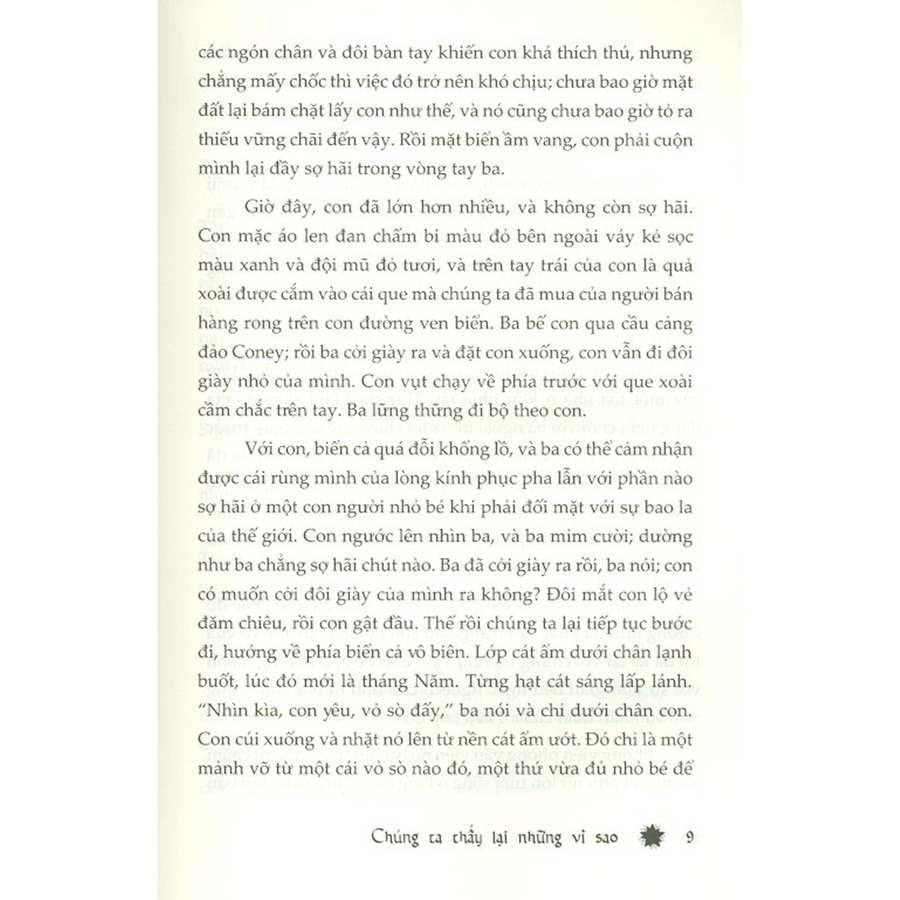 Chúng Ta Thấy Lại Những Vì Sao