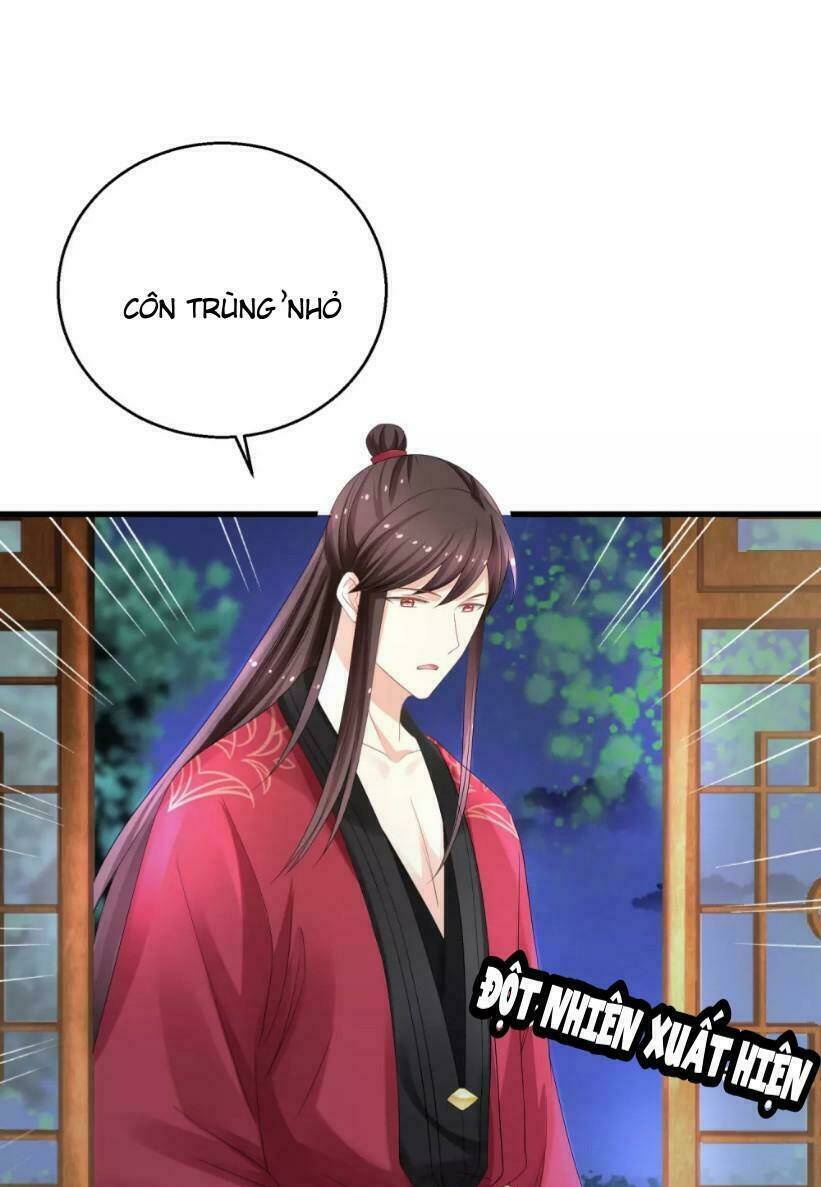 mau xuyên hướng dẫn tự cứu vật hi sinh nữ phụ chapter 12 7