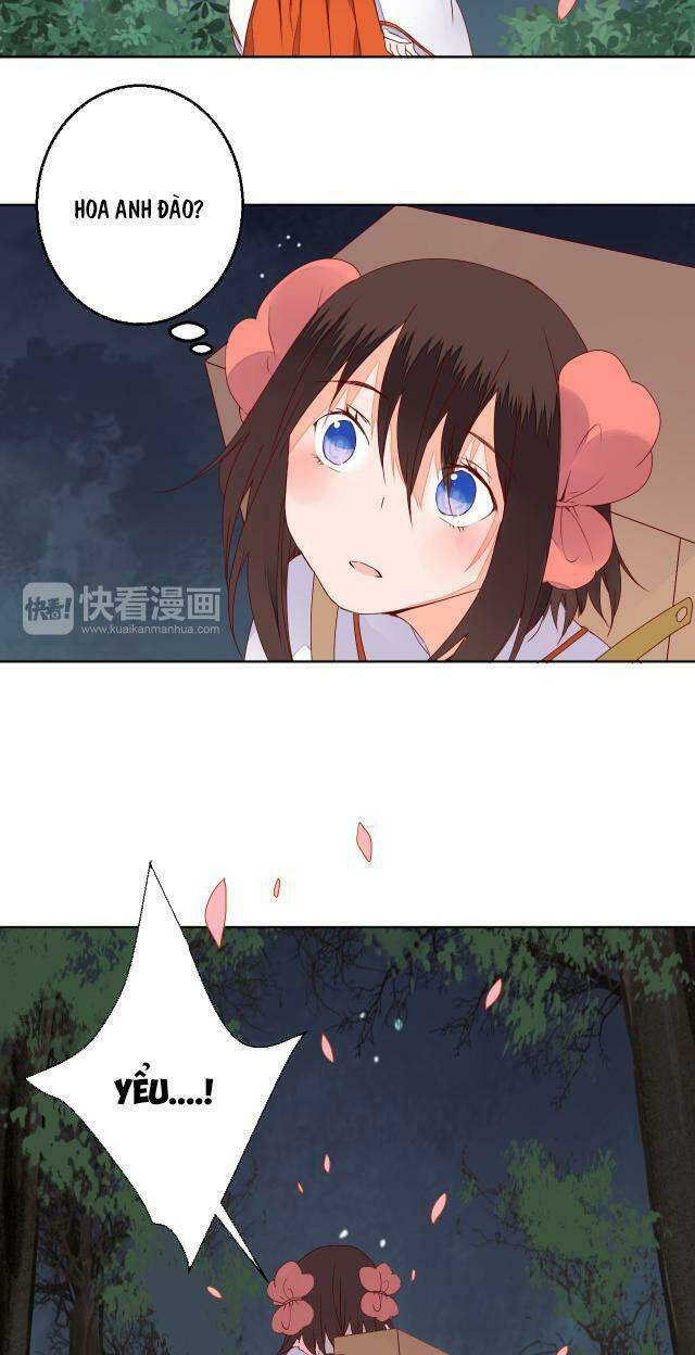 đốt đào hoa chapter 67 13