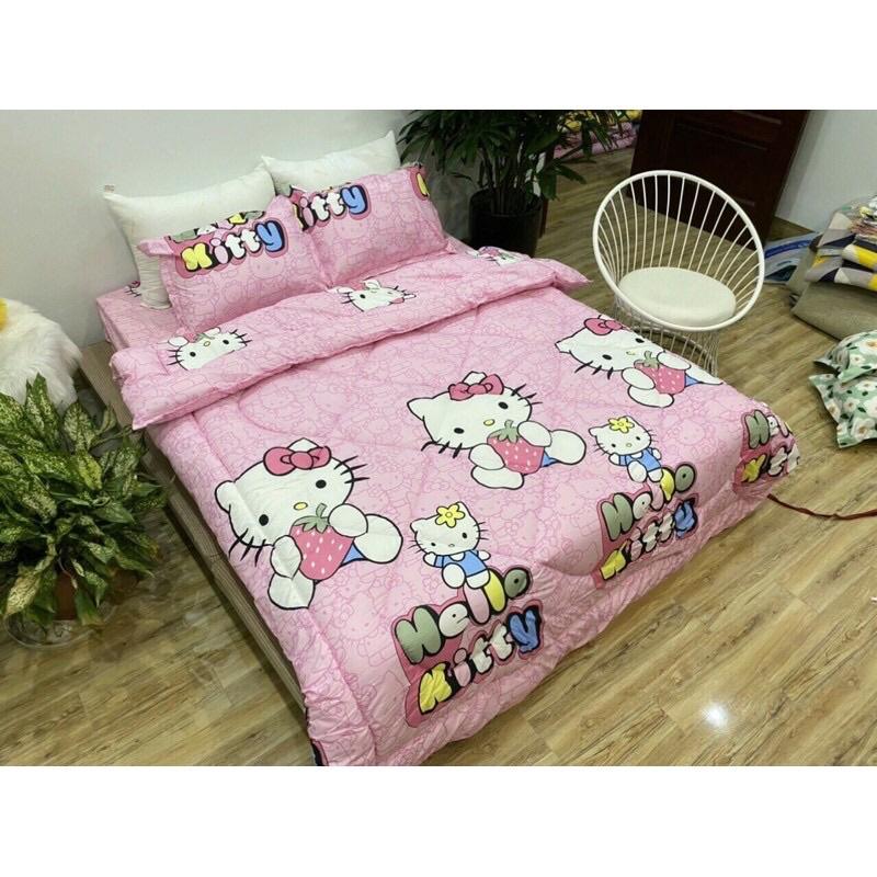 Một Áo Gối Vỏ Gối Mền Mịn Cotton Poly Size 65cm x45cm Chọn Mẫu