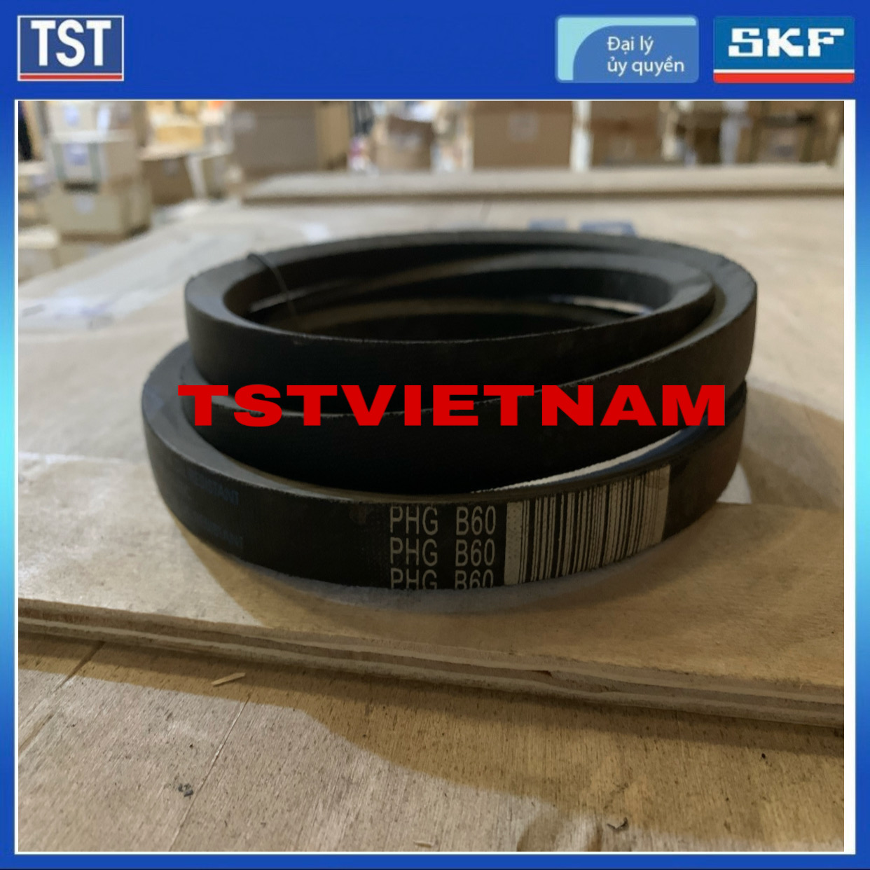 Dây đai SKF PHG B60 (Hàng chính hãng 100%)