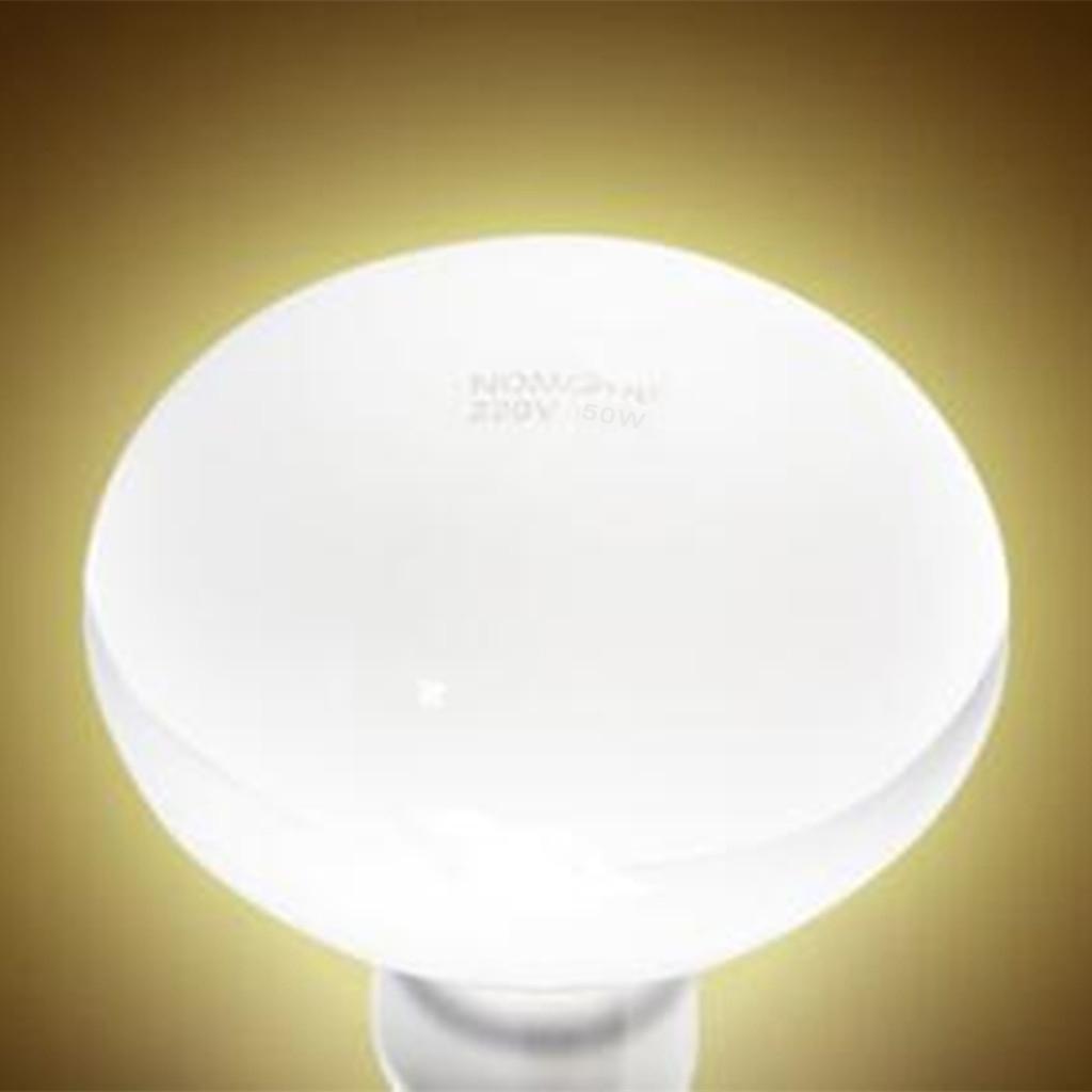 2 pcs 50W/75W Tortoise Reptile Vivarium Light UVA Basking Lamp Heat Bulb