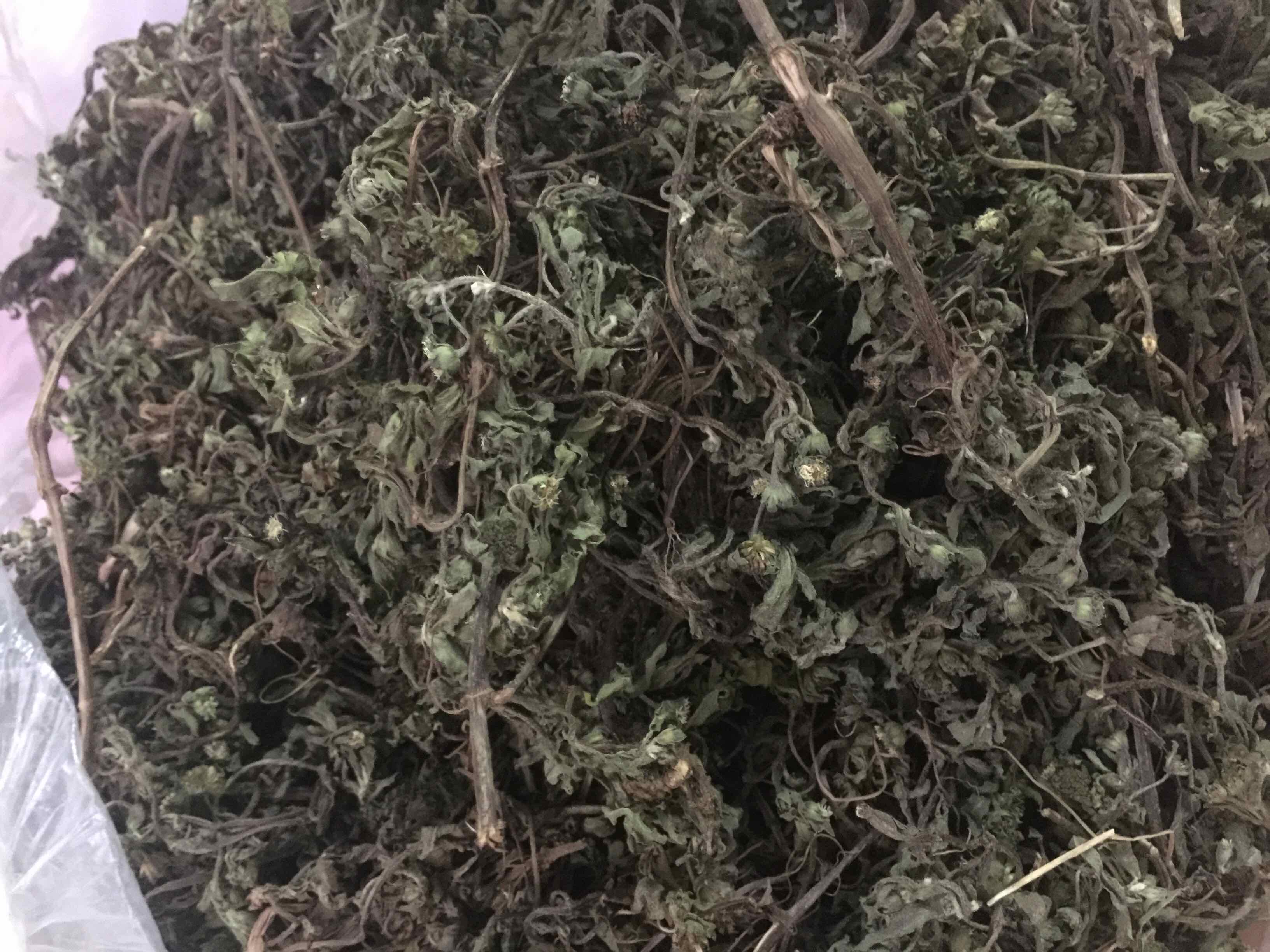Trà cây nhọ nồi - Cây cỏ mực ( Cây cỏ mực khô 1kg) - Sản phẩm hữu cơ tự nhiên 