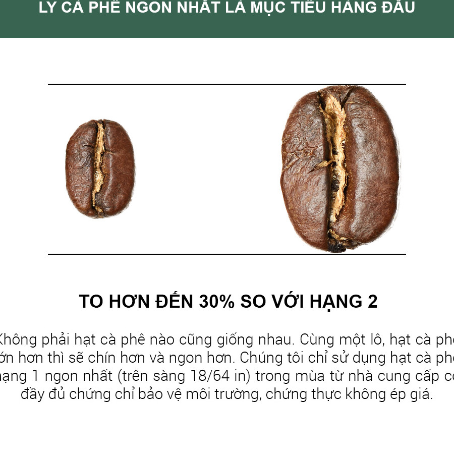 Conbo 03 Bao Cà Phê Bột Rang Xay Hạng 1 sàng 18/64 in Tổng Trọng Lượng 660g THUNDER No.3 - 1864 CAFÉ