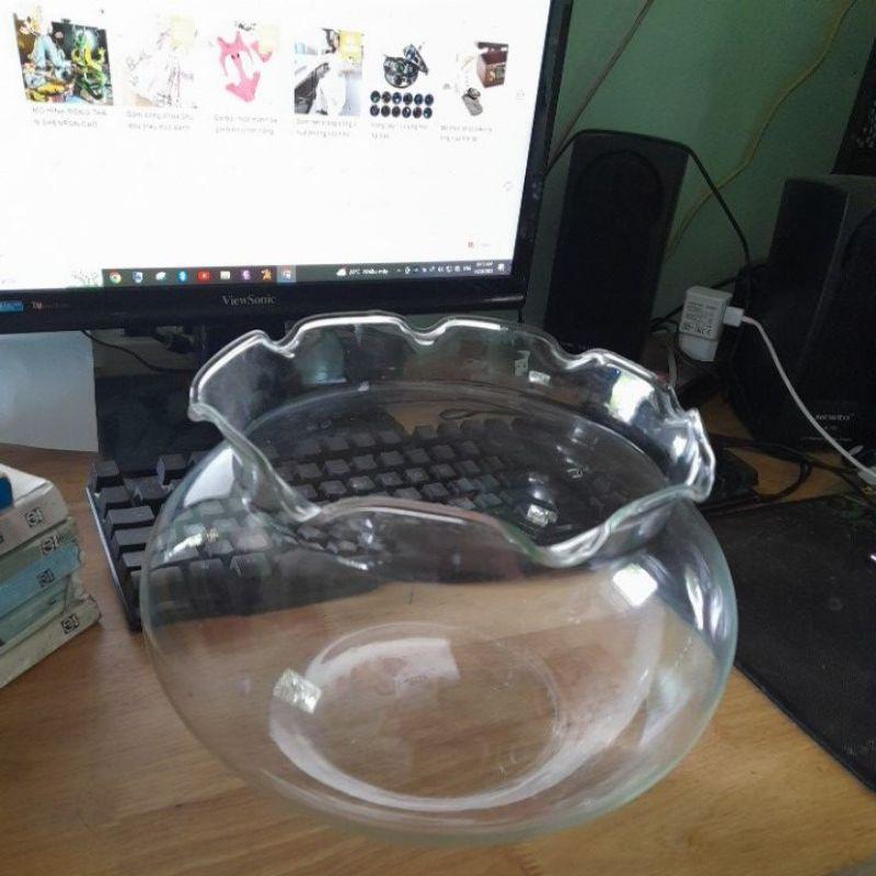 Bể cá thủy tinh để bàn 30 cm