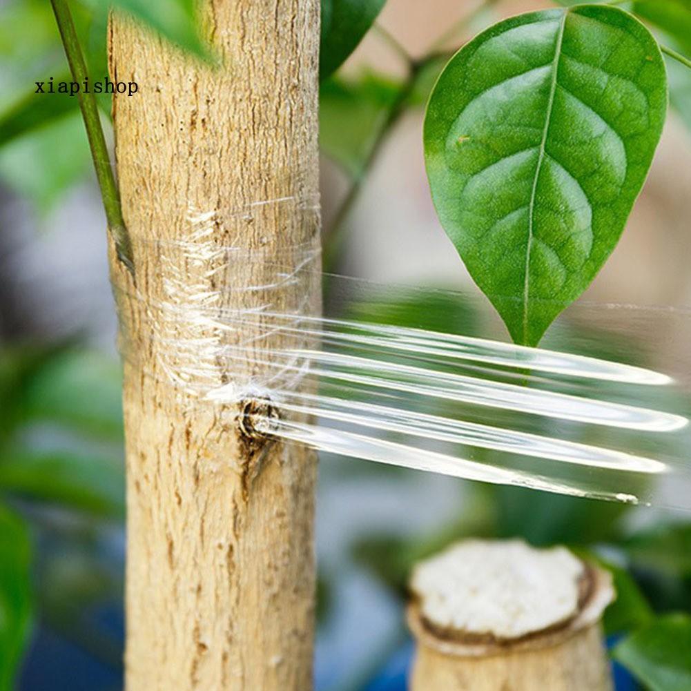 Băng keo ghép mô cành cây trong suốt an toàn tiện dụng