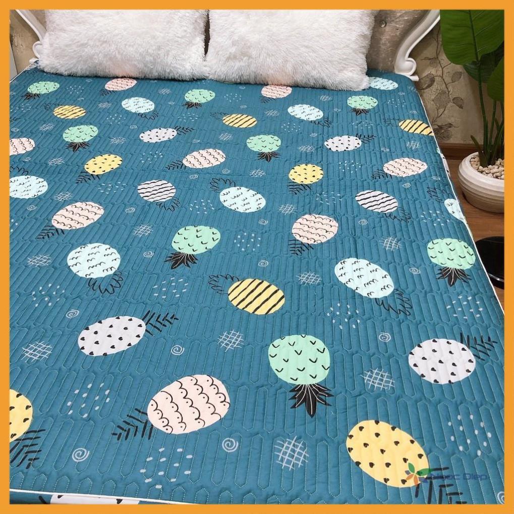 Bộ ga kèm 2 vỏ gối cotton Chần Bông mẫu Dứa Xanh cao cấp m2, m6, m8, 2m2