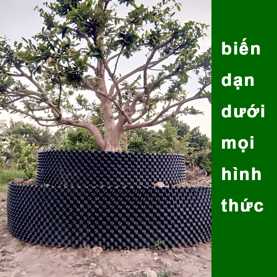 25 MÉT Bầu ươm cây V6 CAO 30CM dày 6mm, cắt theo mét dài khách đặt, tặng ốc vít-77900